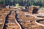 Typisches  Schienenszenario einer Moorfeldbahn