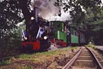 Dampfzug Deutsches Feld- und Kleinbahnmuseum 2002